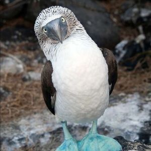 Meet your Posher, Angie